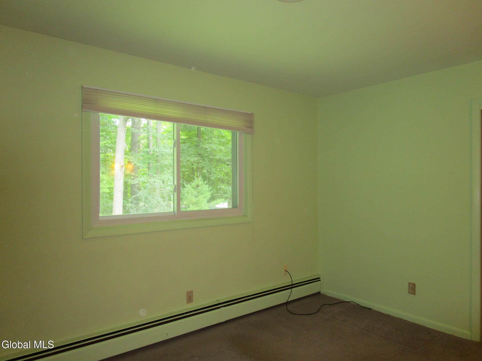 676 Pearse Road Niskayuna, NY 12309 - Photo 42 of 67 IMG_7923