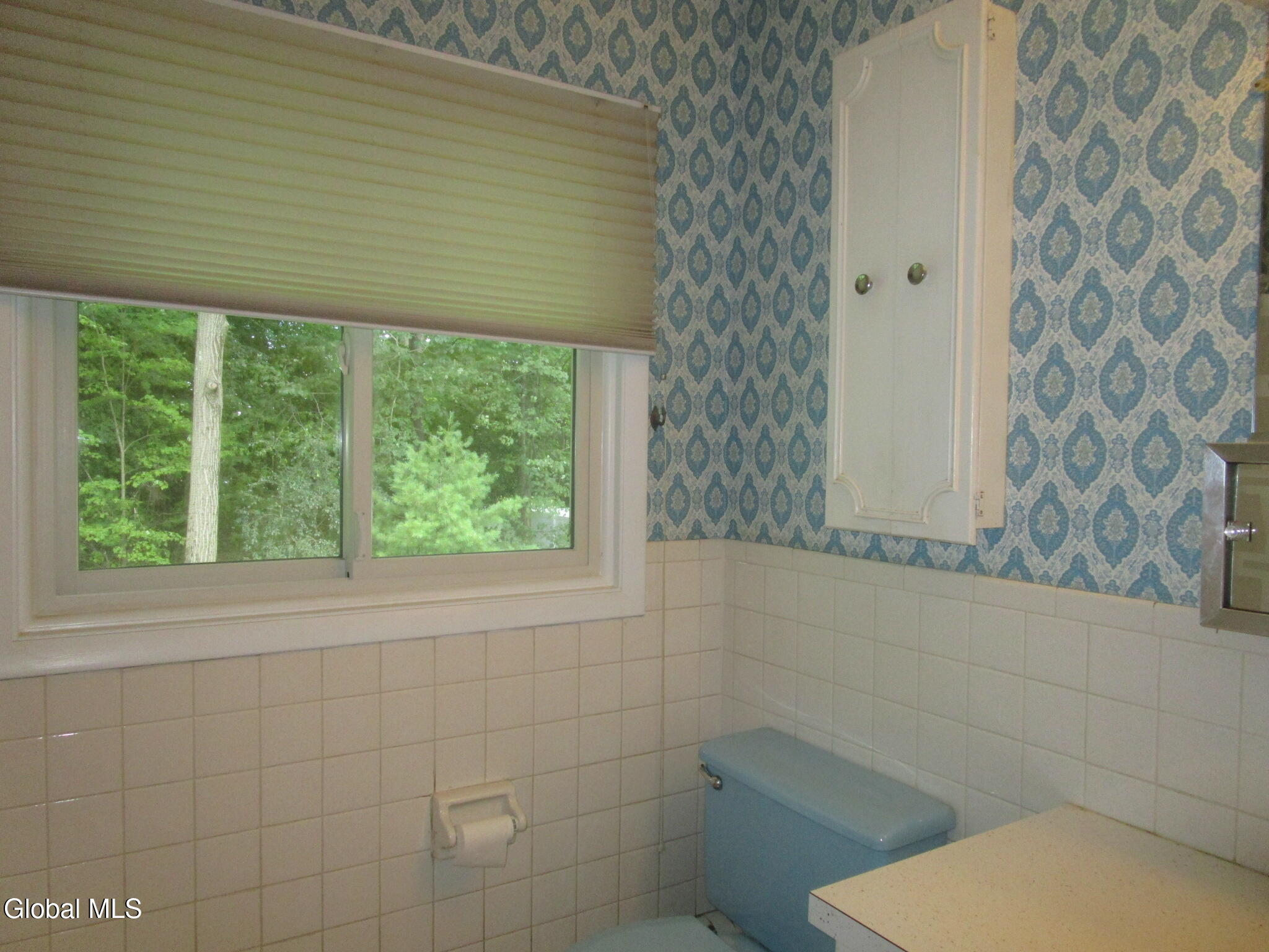 676 Pearse Road Niskayuna, NY 12309 - Photo 49 of 67 IMG_7894