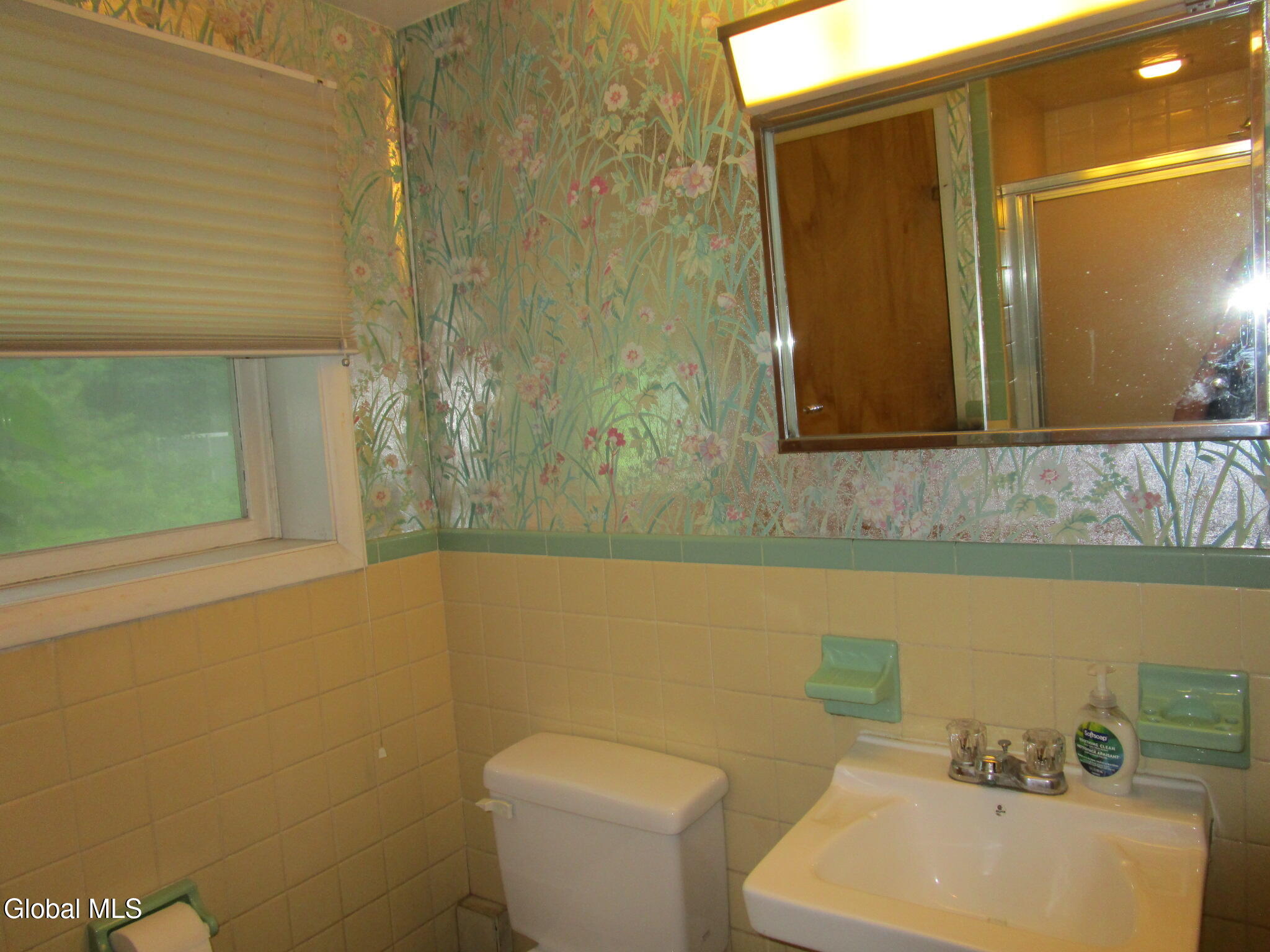 676 Pearse Road Niskayuna, NY 12309 - Photo 60 of 67 IMG_7983