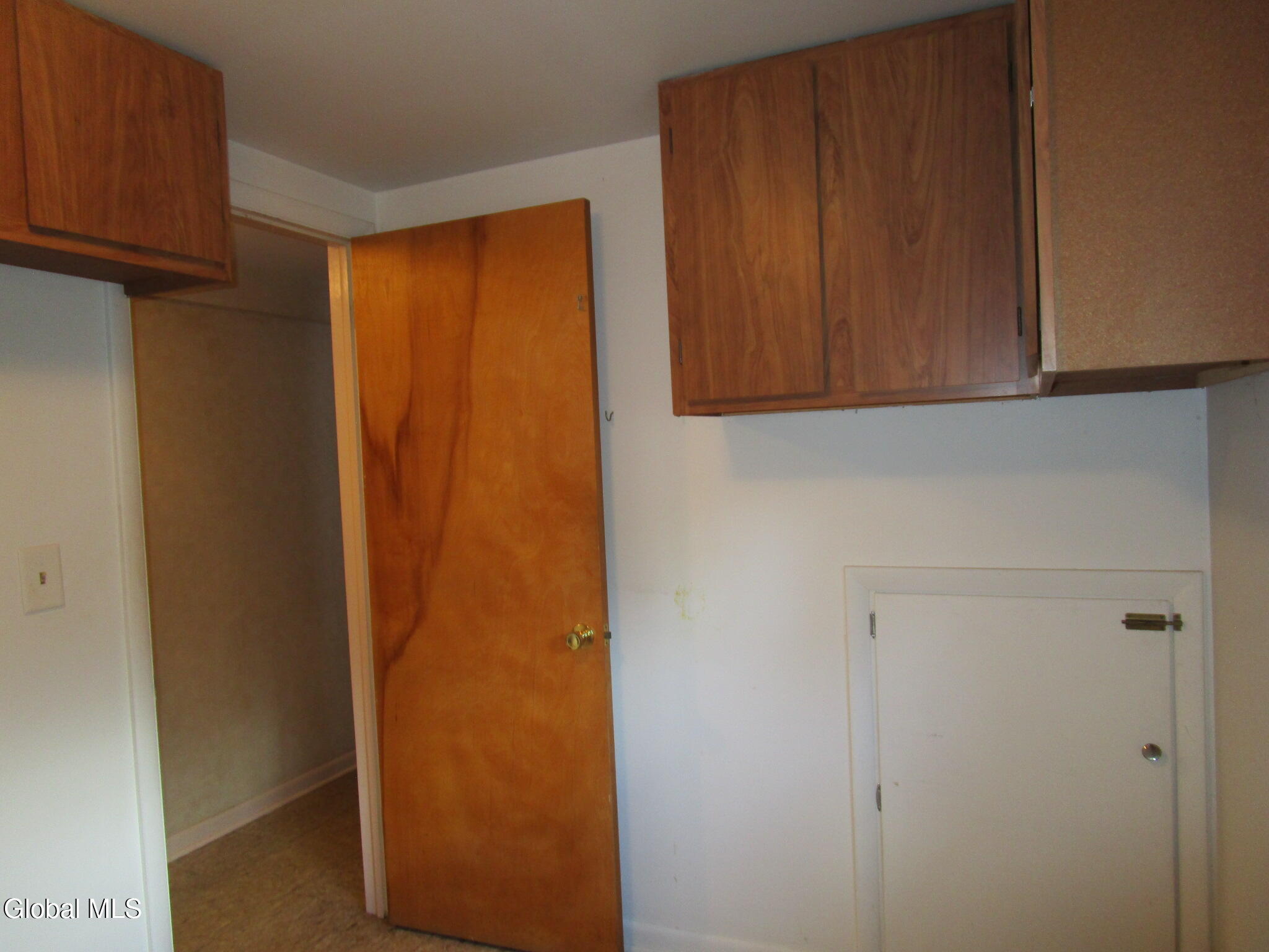 676 Pearse Road Niskayuna, NY 12309 - Photo 64 of 67 IMG_7978