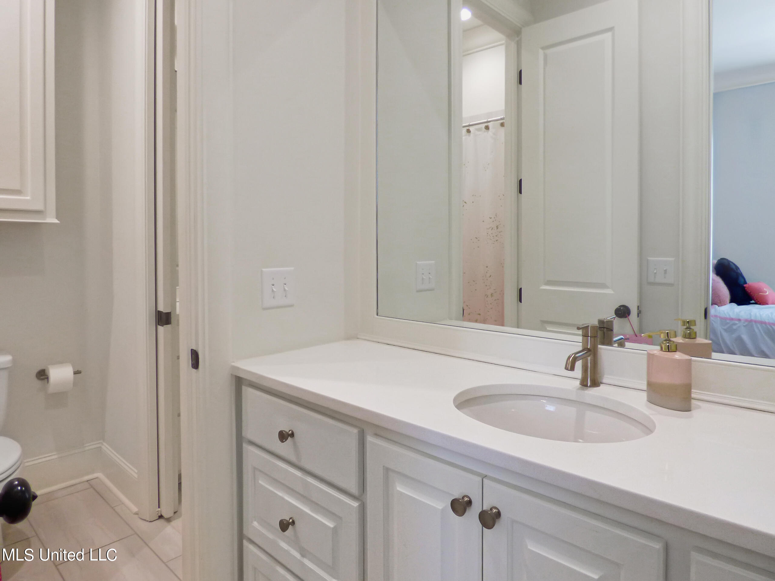 115 First Colony Boulevard Madison, MS 39110 - Photo 30 of 48 P1060080
