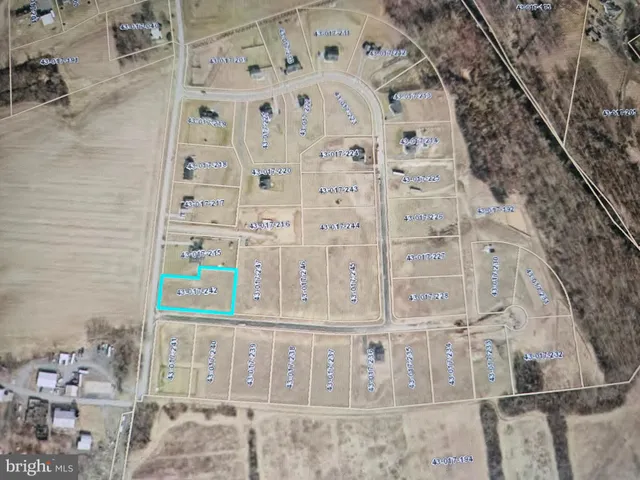 a view of a park with slide