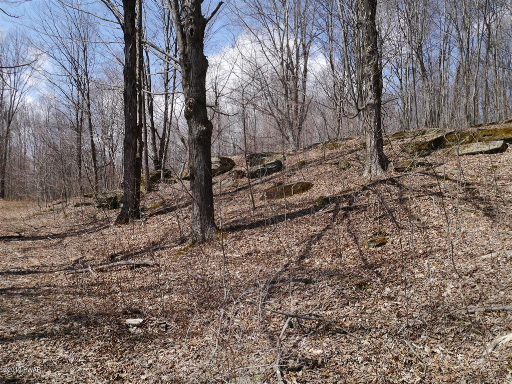 121 Daw Road Pleasant Mount, PA 18453 - Photo 20 of 26