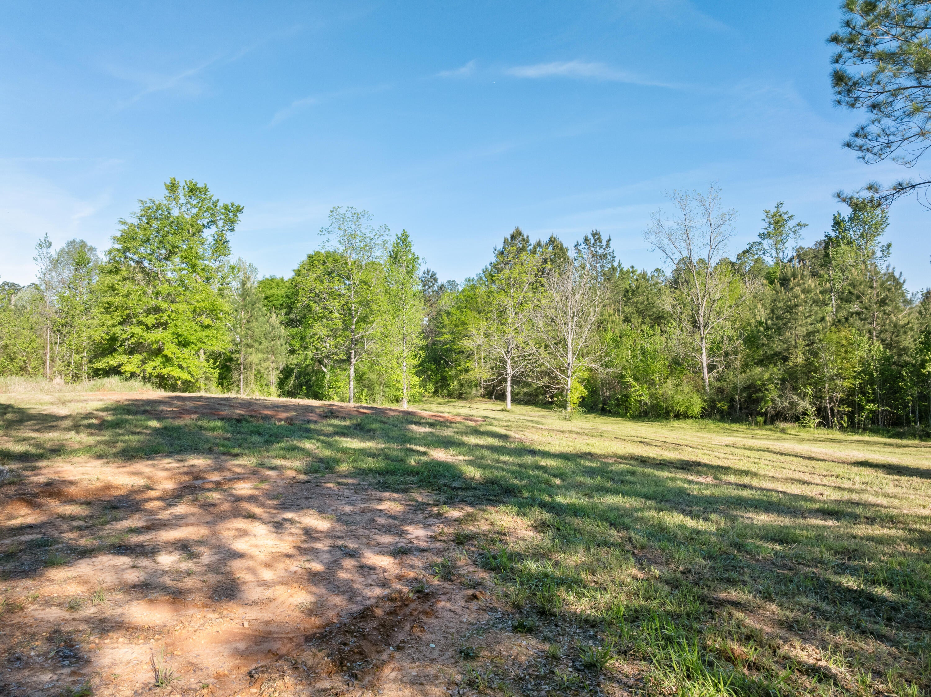 503 Courtney Road Purvis, MS 39475 - Photo 9 of 17 Gallery Image 9