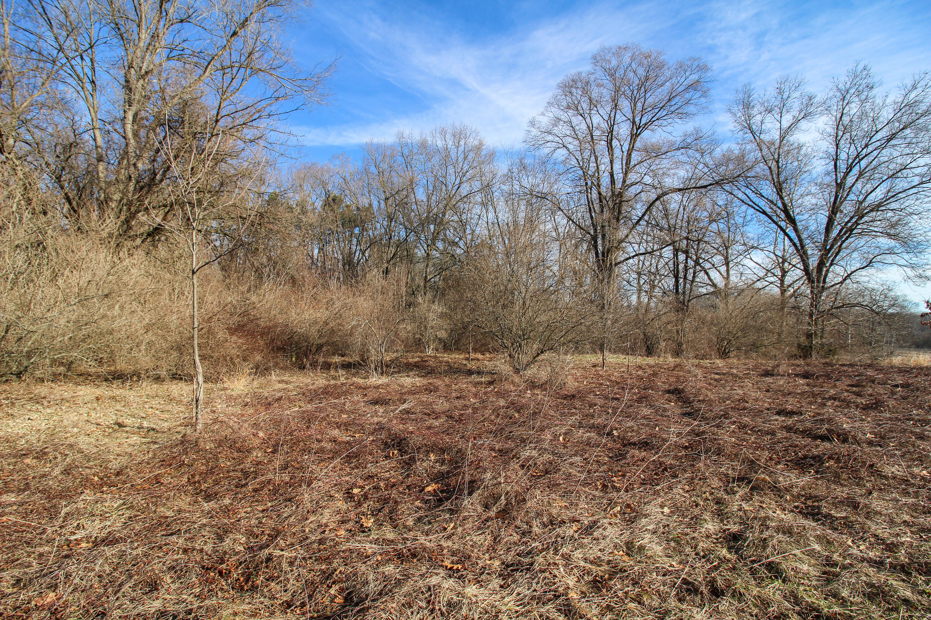Undisclosed Address Three Rivers, MI 49093 - Photo 4 of 15 Shorewood-14