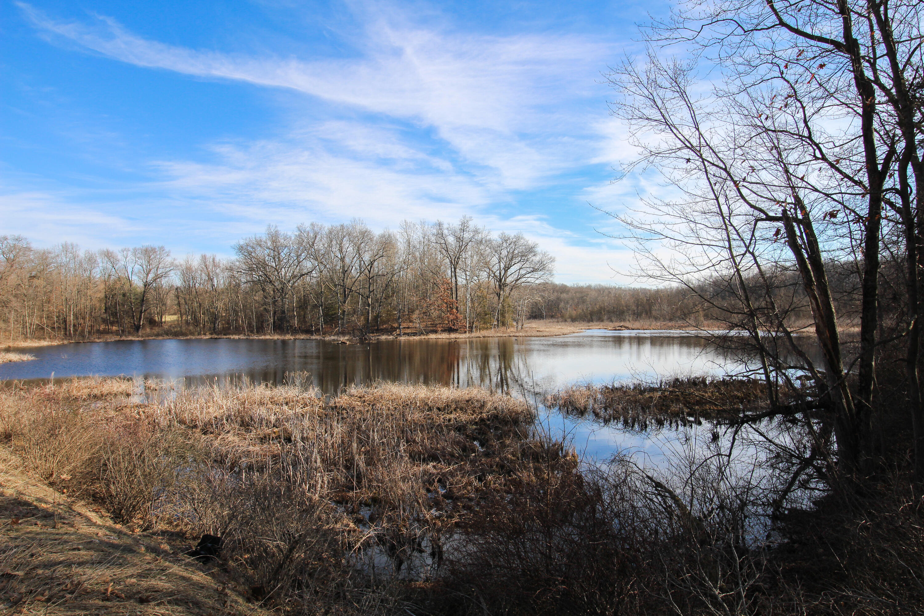 Undisclosed Address Three Rivers, MI 49093 - Photo 7 of 15 Shorewood-4