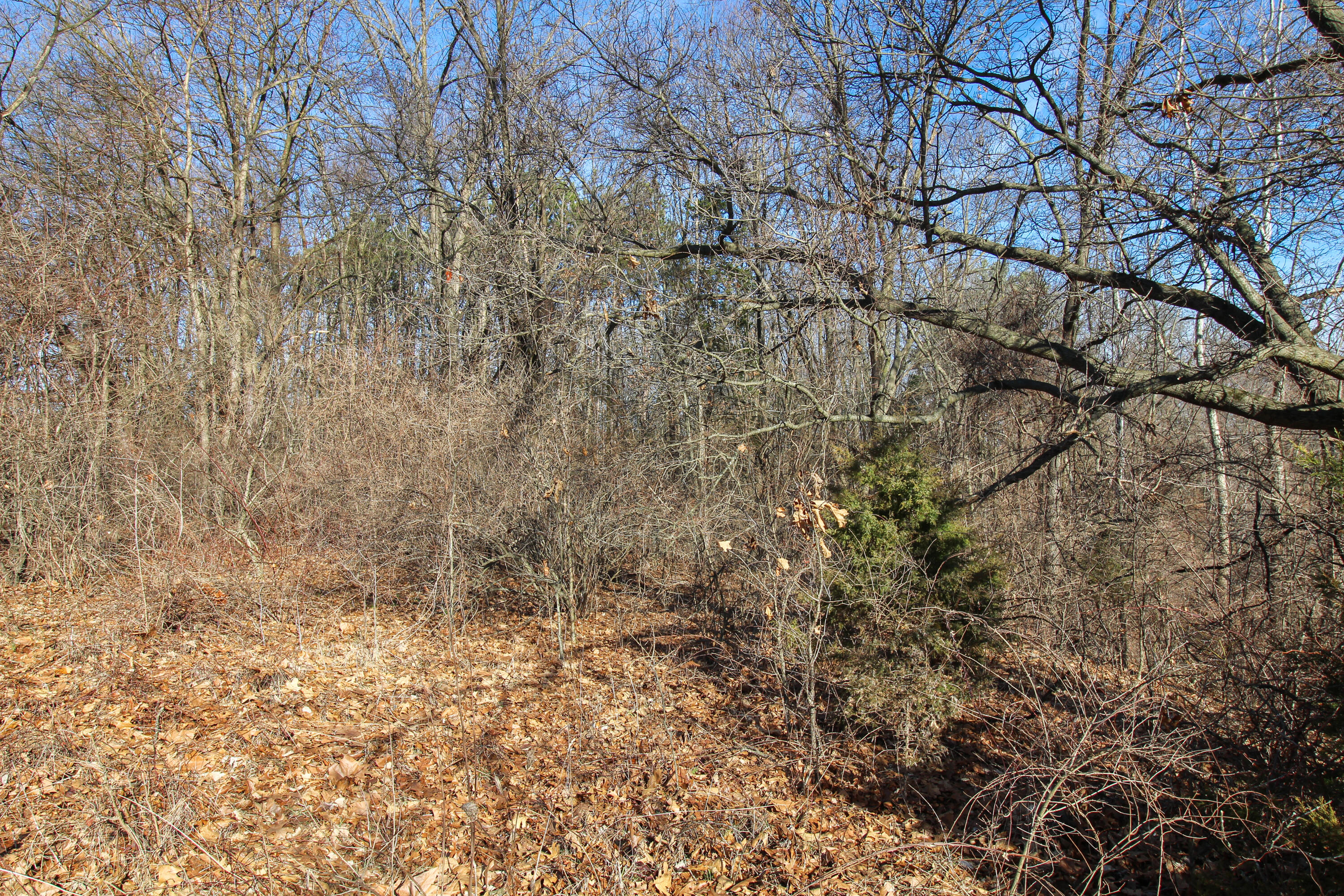 Undisclosed Address Three Rivers, MI 49093 - Photo 9 of 15 Shorewood-6
