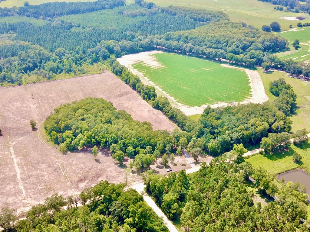 L1 New Hinson Road Slocomb, AL 36375 - Photo 12 of 30