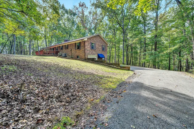 a house view with a backyard space