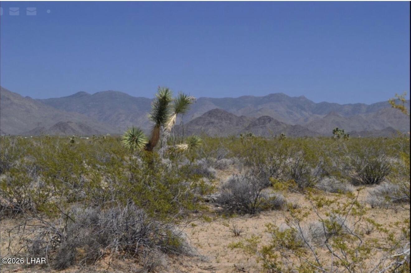 0 South Alvis Road Yucca, AZ 86438 - Photo 3 of 5