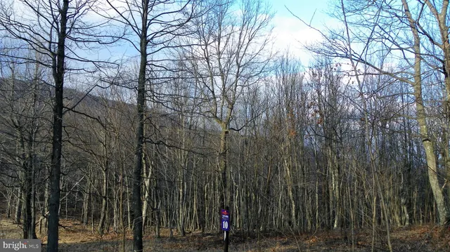 $20,000 | 16326 Laurelhurst Boulevard, Cumberland, MD 21502