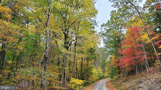 $20,000 | 16326 Laurelhurst Boulevard, Cumberland, MD 21502