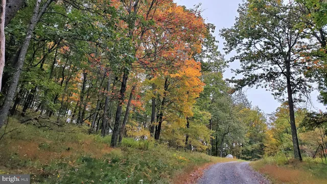 $20,000 | 16326 Laurelhurst Boulevard, Cumberland, MD 21502