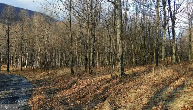 $20,000 | 16326 Laurelhurst Boulevard, Cumberland, MD 21502