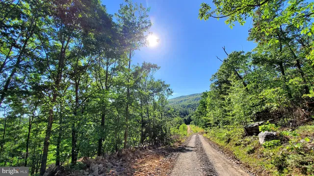 $20,000 | 16326 Laurelhurst Boulevard, Cumberland, MD 21502