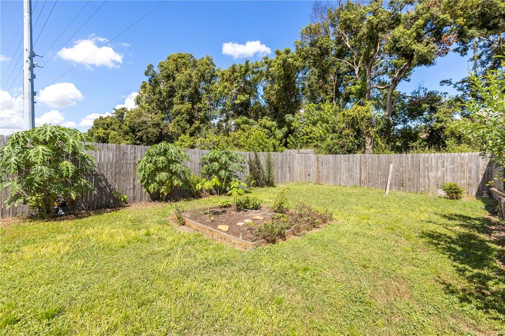 22751 Penny Loop Land O' Lakes, FL 34639 - Photo 20 of 27 a backyard of a house with lots of green space