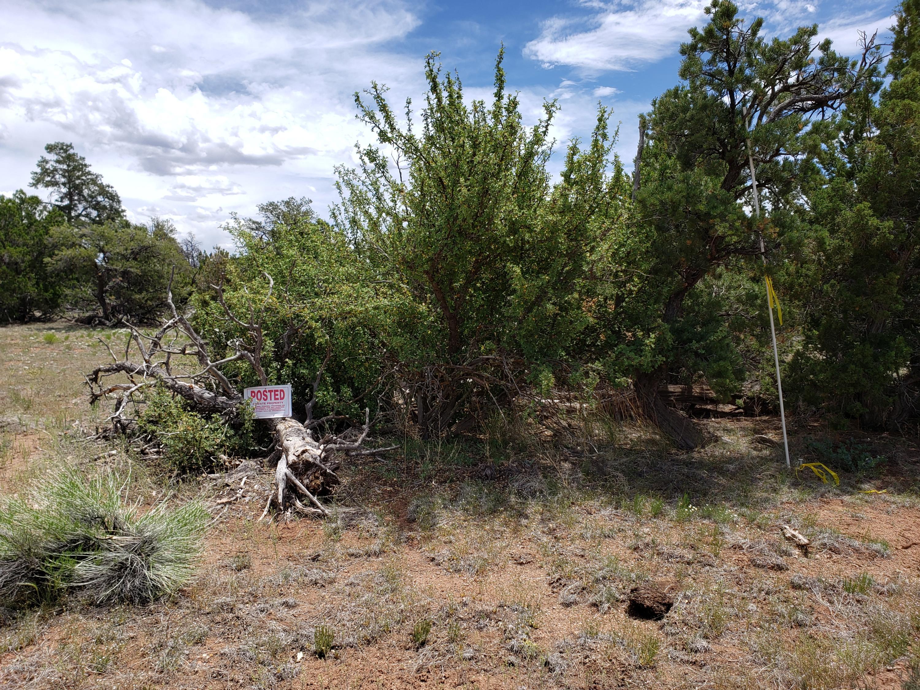 2901 Lipan Road Williams, AZ 86046 - Photo 2 of 8 20200530_124529