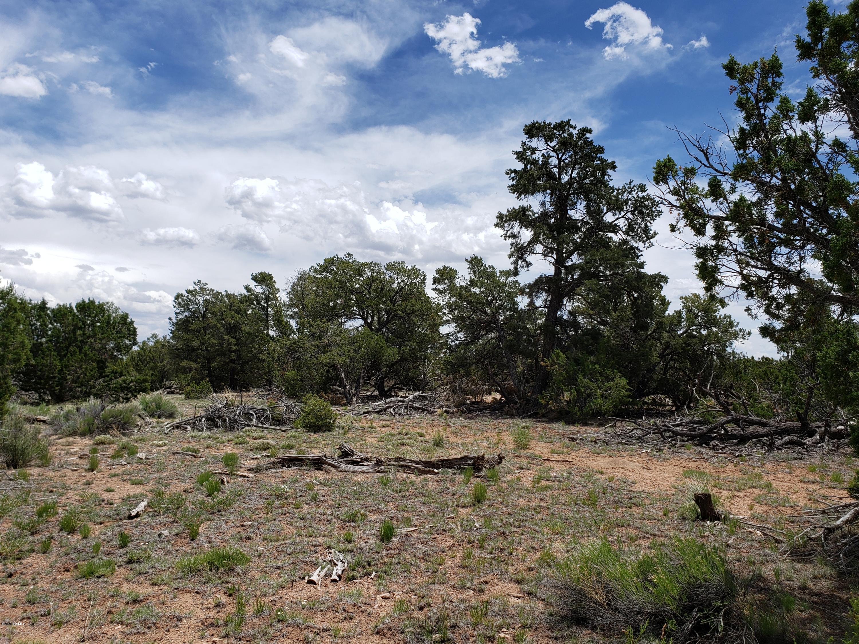 2901 Lipan Road Williams, AZ 86046 - Photo 3 of 8 20200530_124604