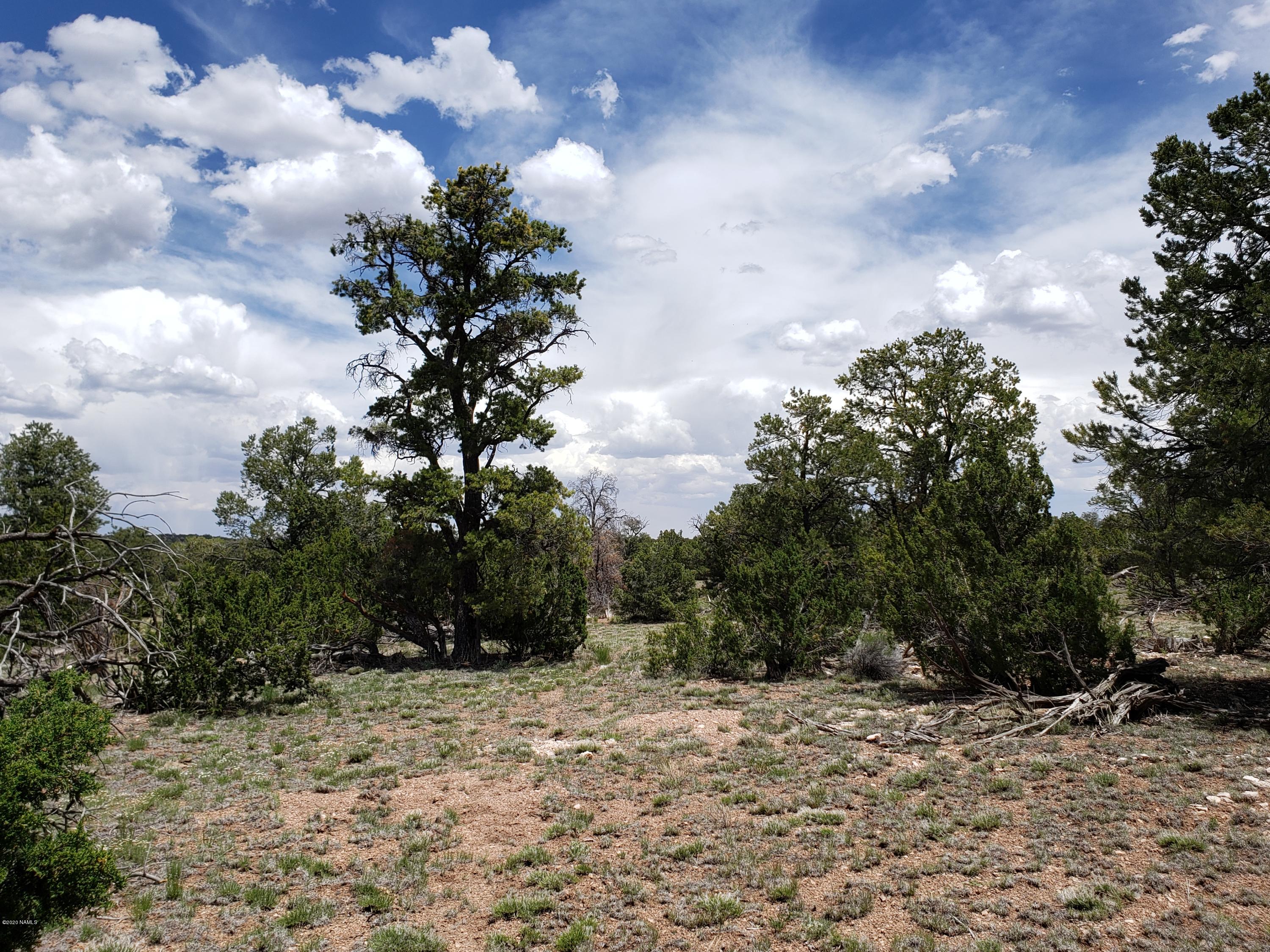 2901 Lipan Road Williams, AZ 86046 - Photo 4 of 8 20200530_124642