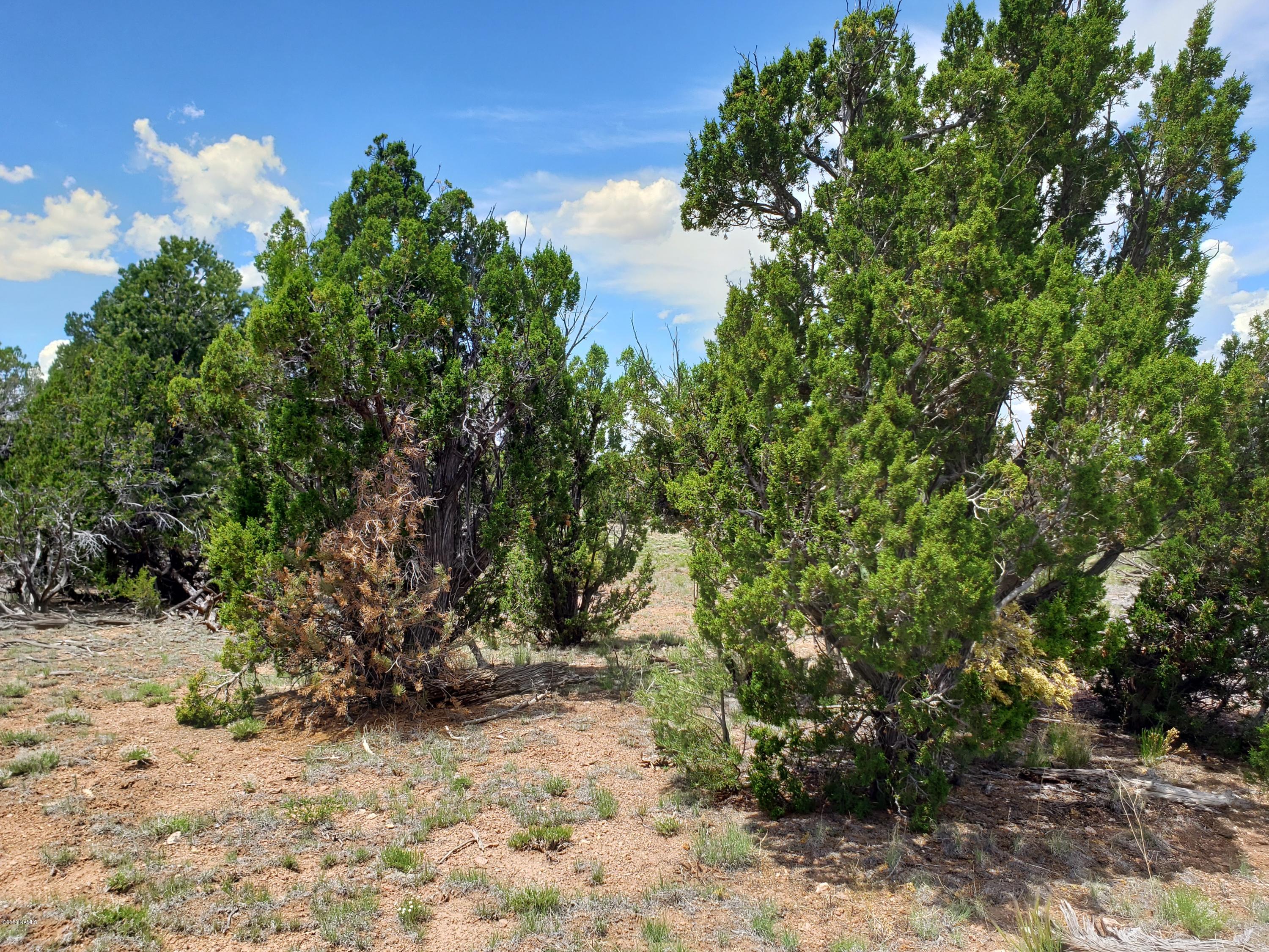 2901 Lipan Road Williams, AZ 86046 - Photo 6 of 8 20200530_124826