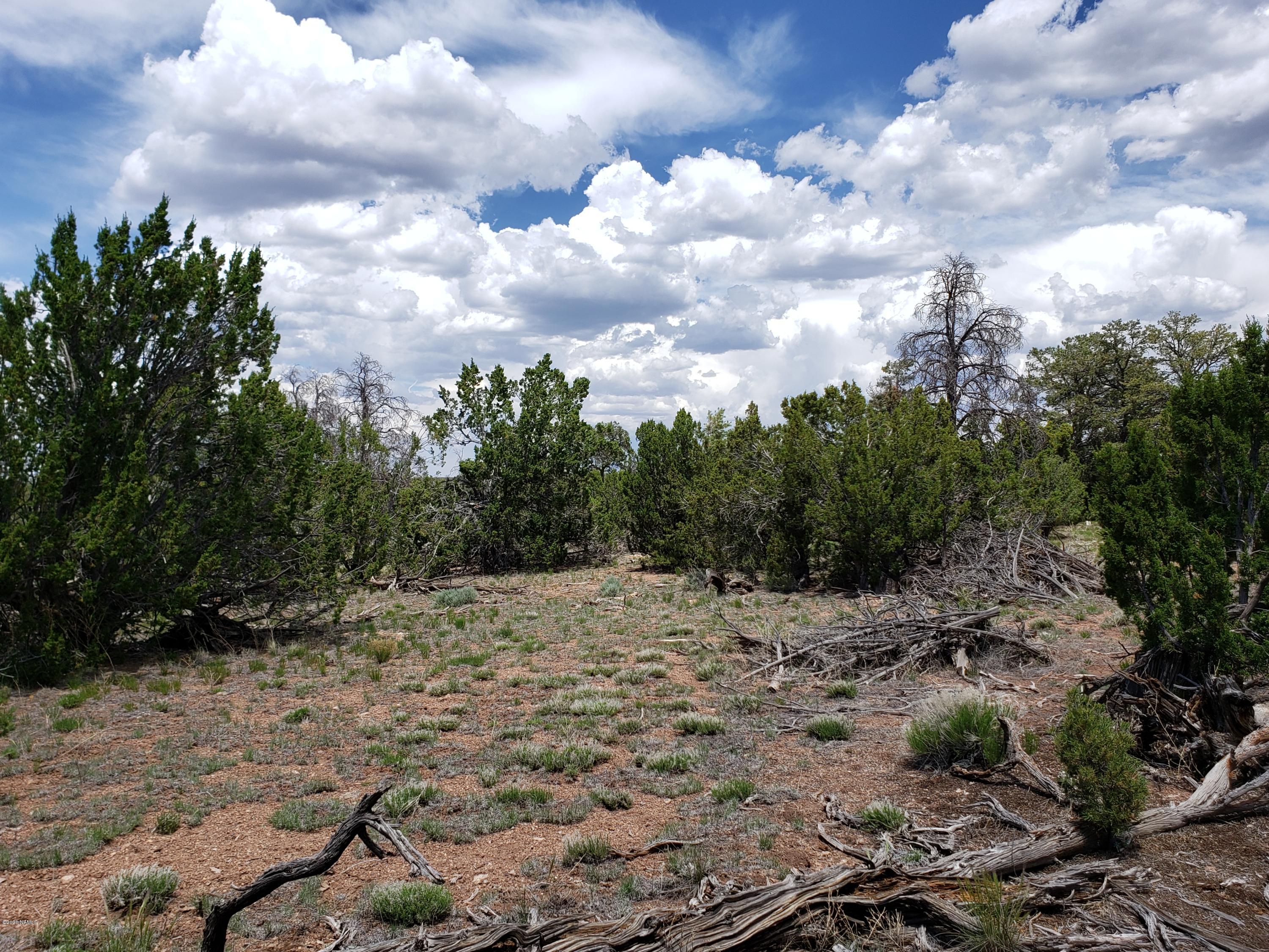 2901 Lipan Road Williams, AZ 86046 - Photo 7 of 8 20200530_124829