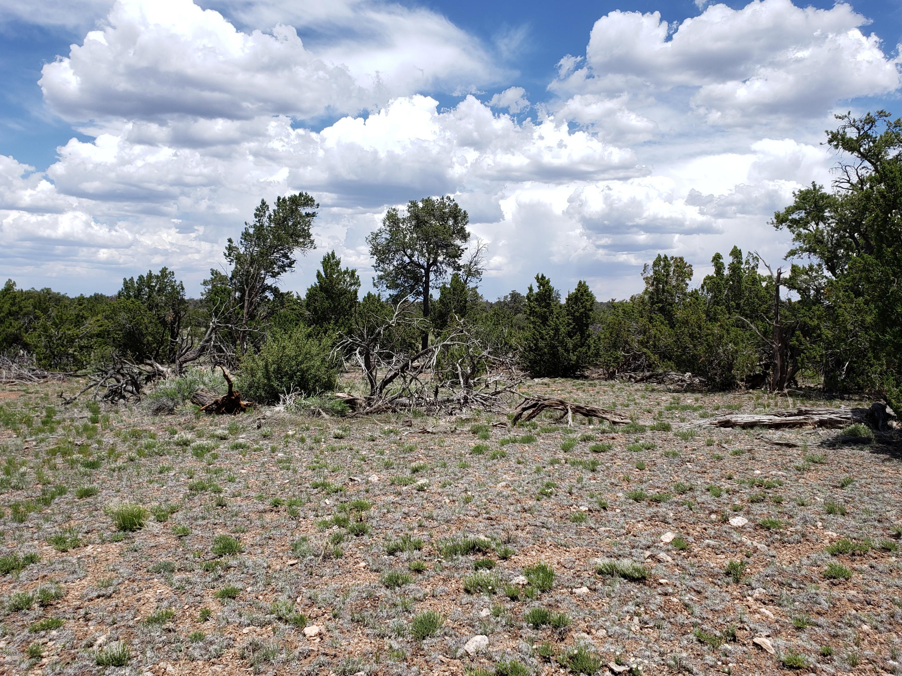 2901 Lipan Road Williams, AZ 86046 - Photo 8 of 8 20200530_125059