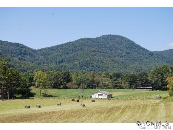 2250 Riceville Road Asheville, NC 28805 - Photo 1 of 16 Gallery Image 1