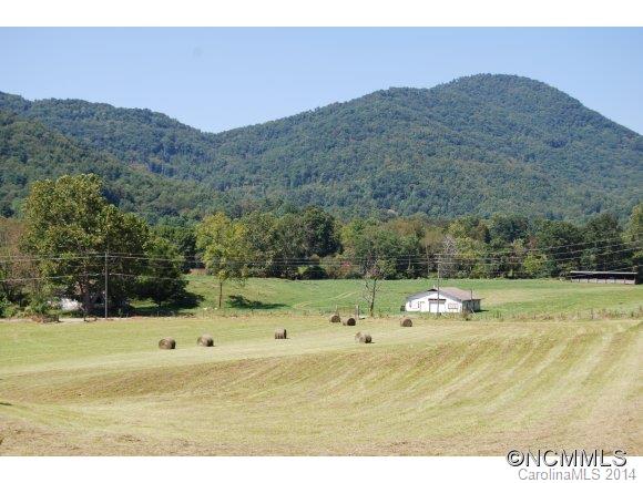 2250 Riceville Road Asheville, NC 28805 - Photo 13 of 16 Gallery Image 13