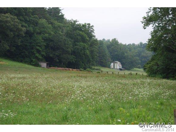 2250 Riceville Road Asheville, NC 28805 - Photo 3 of 16 Gallery Image 3