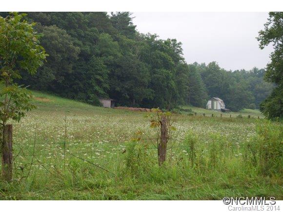 2250 Riceville Road Asheville, NC 28805 - Photo 9 of 16 Gallery Image 9