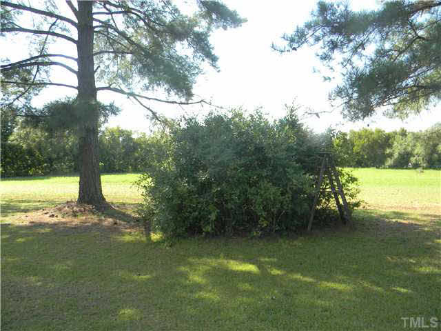 1260 Denning Road Benson, NC 27504 - Photo 7 of 23 Photo 8