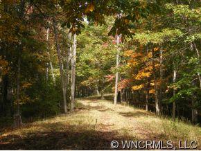 3 Long Branch Road, Unit CAMP 3 Brevard, NC 28712 - Photo 2 of 10 a view of outdoor space with garden