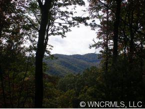 3 Long Branch Road, Unit CAMP 3 Brevard, NC 28712 - Photo 4 of 10 a view of mountain view with lots of trees