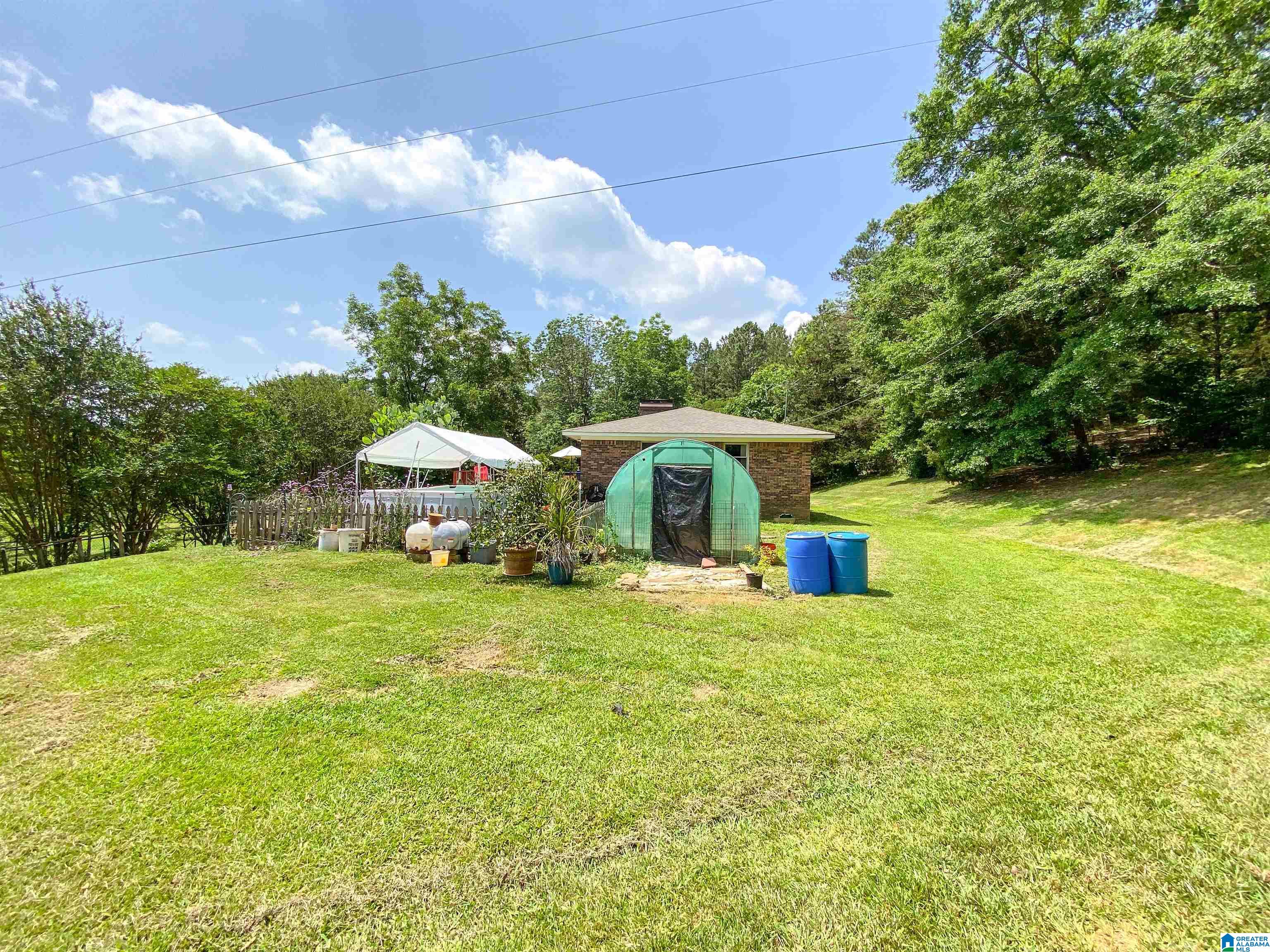 1505 Camp Creek Road Cropwell, AL 35054 - Photo 33 of 48