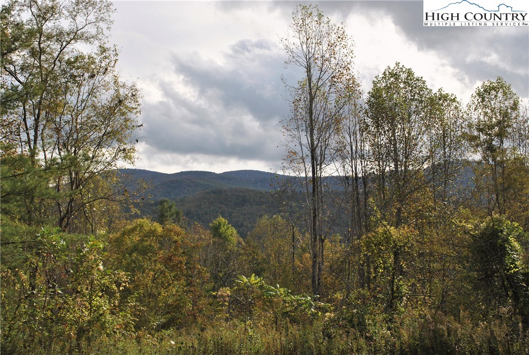 269 George Cook Road Sugar Grove, NC 28679 - Photo 3 of 18 Gallery Image 3