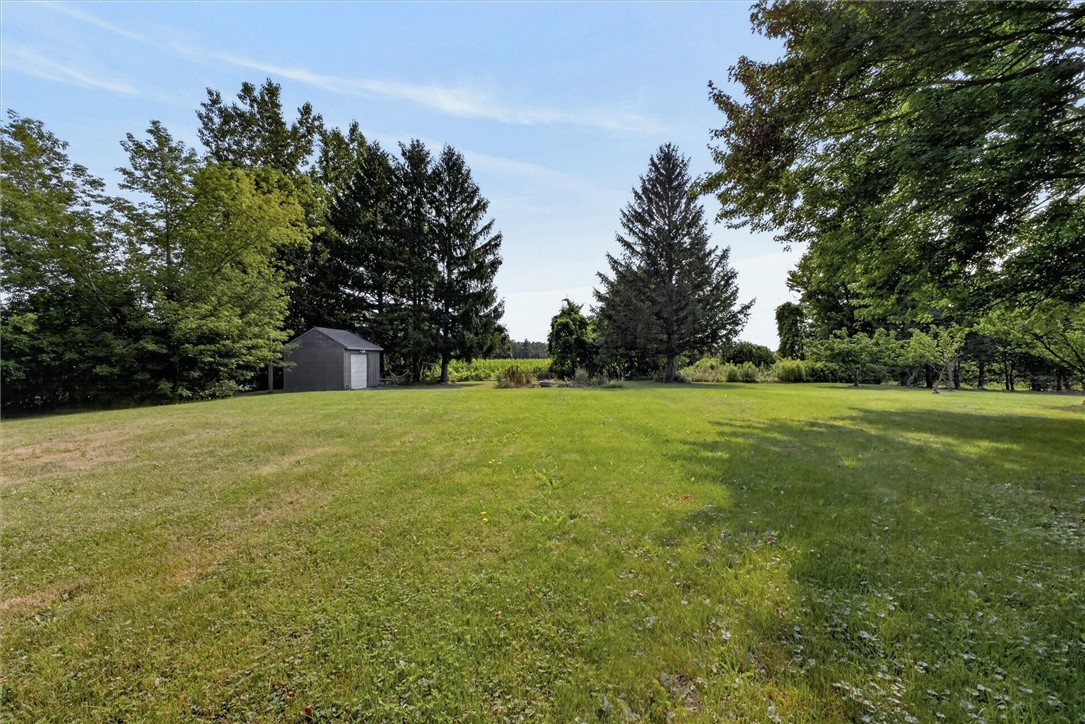 334 Lighthouse Road Parma, NY 14468 - Photo 4 of 35 Gallery Image 4