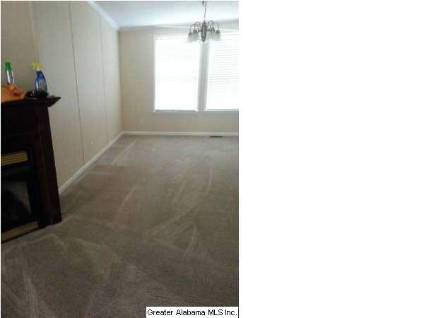 14329 Rockhouse Road Brookwood, AL 35444 - Photo 7 of 21