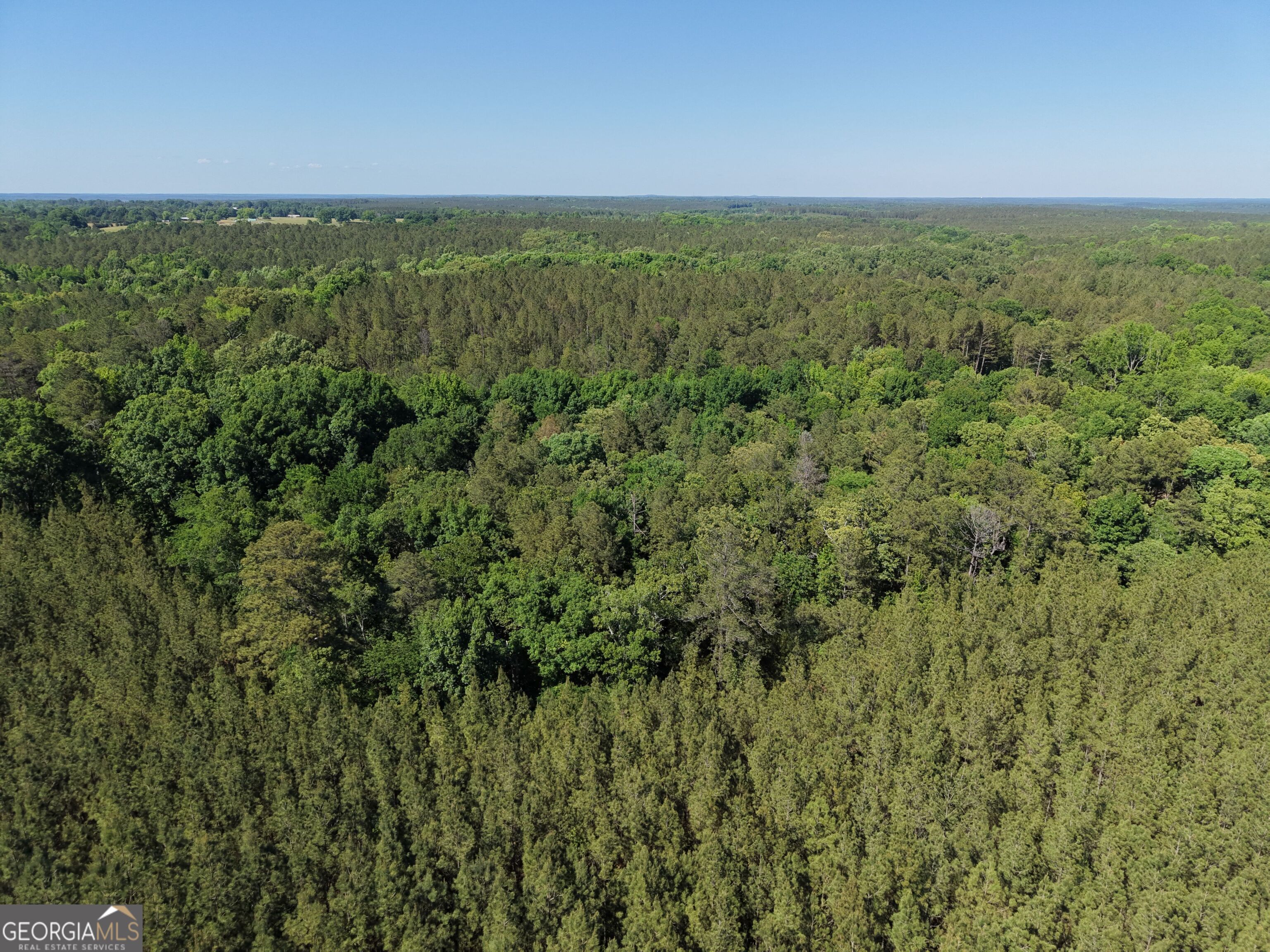 580 Saggus Road Washington, GA 30673 - Photo 14 of 54