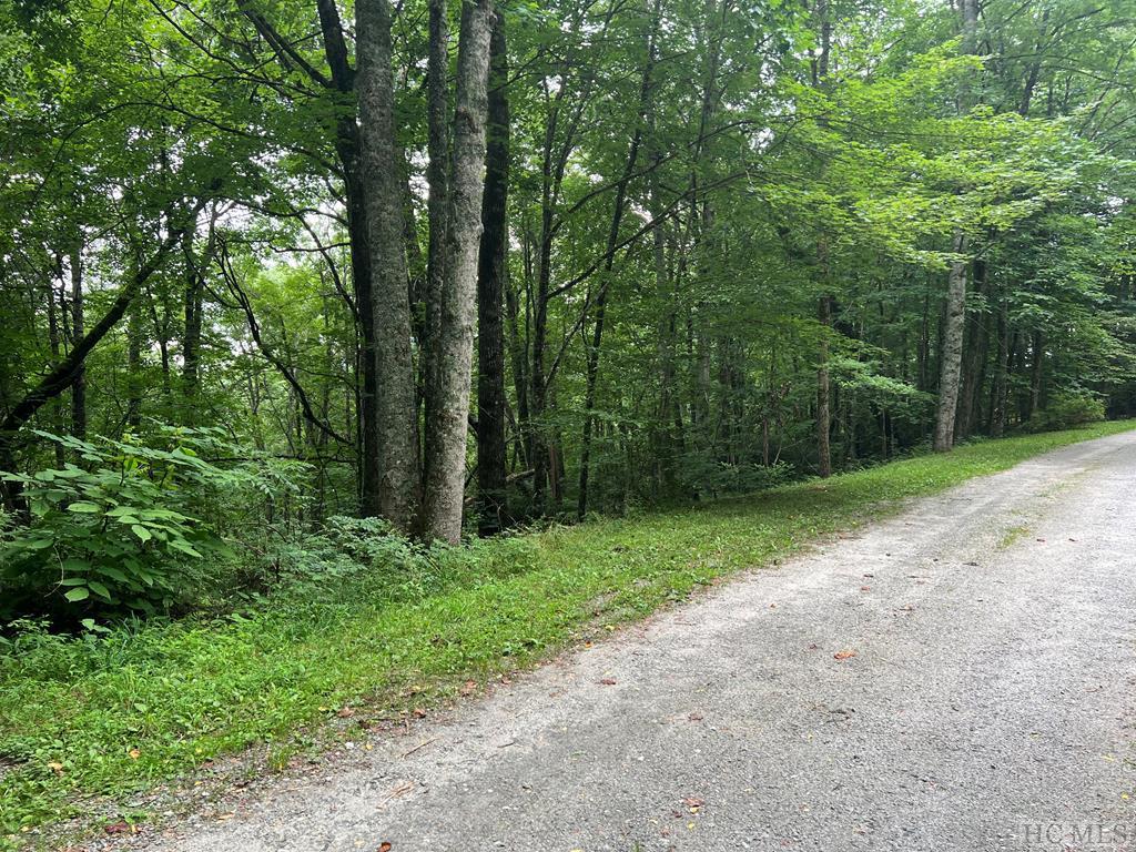 Lot 4 View Point Road Highlands, NC 28741 - Photo 2 of 3 Gallery Image 2