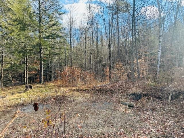 1066 Bonnyvale Road Brattleboro, VT 05301 - Photo 14 of 17