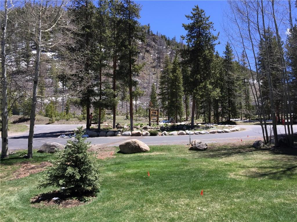 1977 Soda Ridge Road, Unit 1171 Keystone, CO 80435 - Photo 15 of 21 a view of a park with large trees
