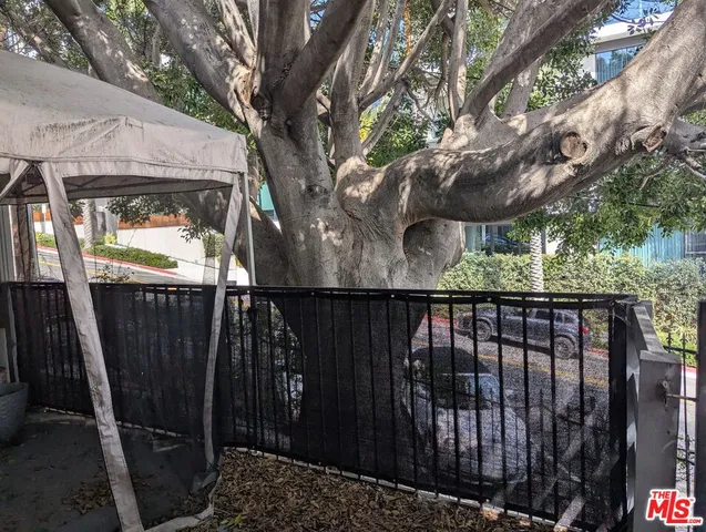 a view of a balcony with a tree
