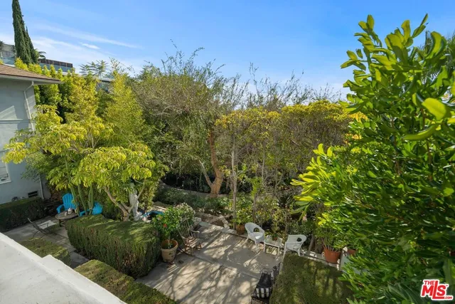 a view of a garden with plants