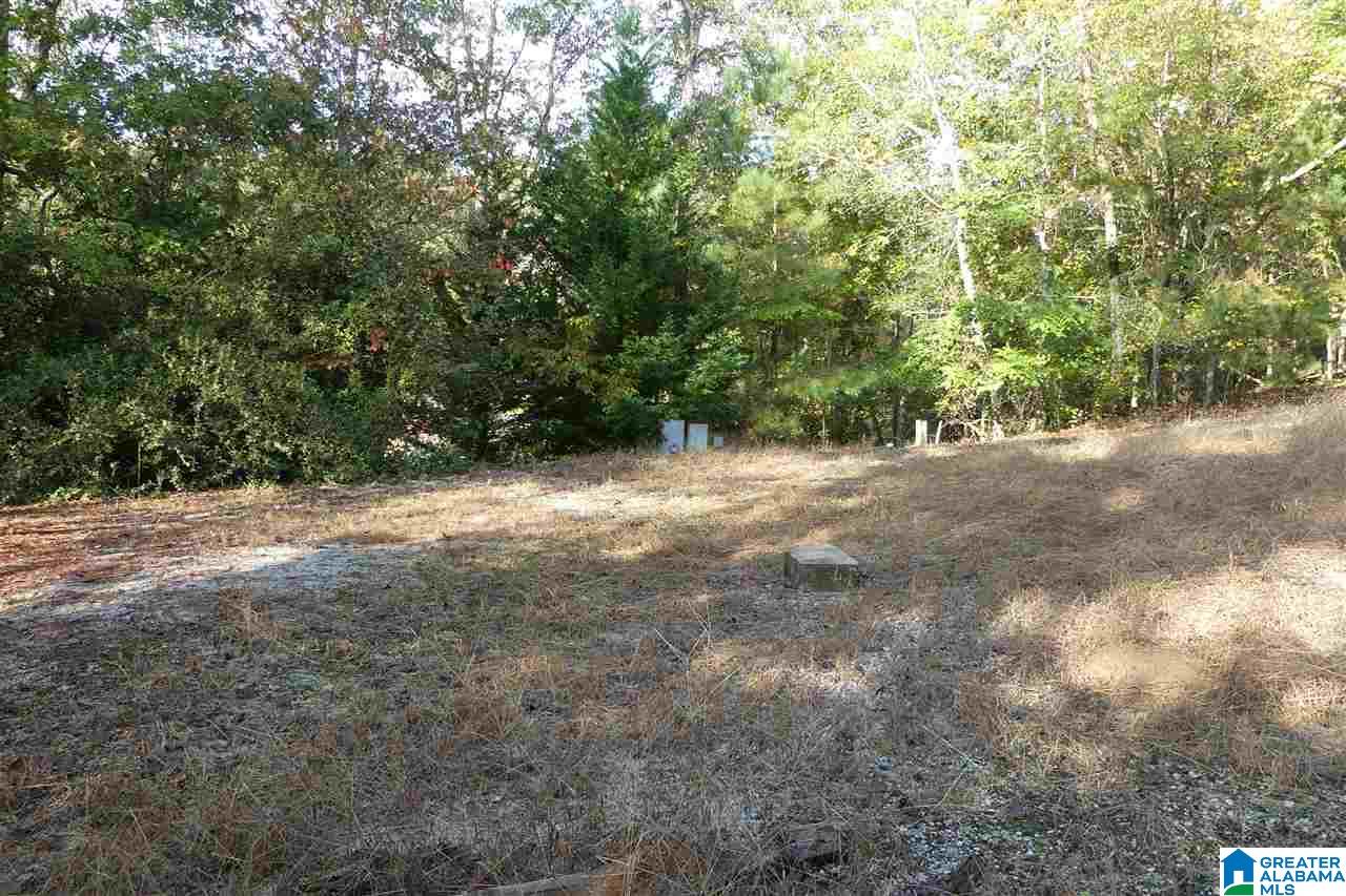 199 River Birch Road, Unit 108 Wedowee, AL 36278 - Photo 7 of 21