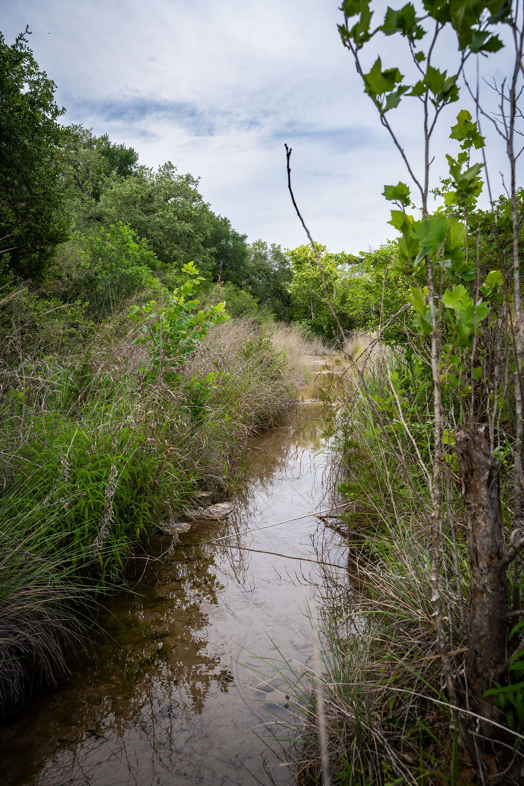 13800 Lone Rider Trail Austin, TX 78738 - Photo 23 of 27 a view of a lake