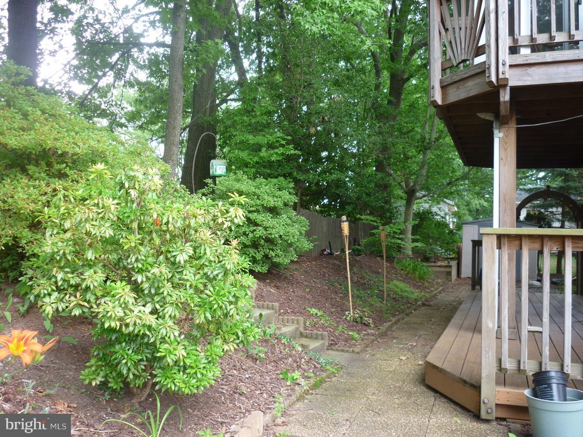 6319 Rockwell Road Burke, VA 22015 - Photo 8 of 30 Exterior (Rear)