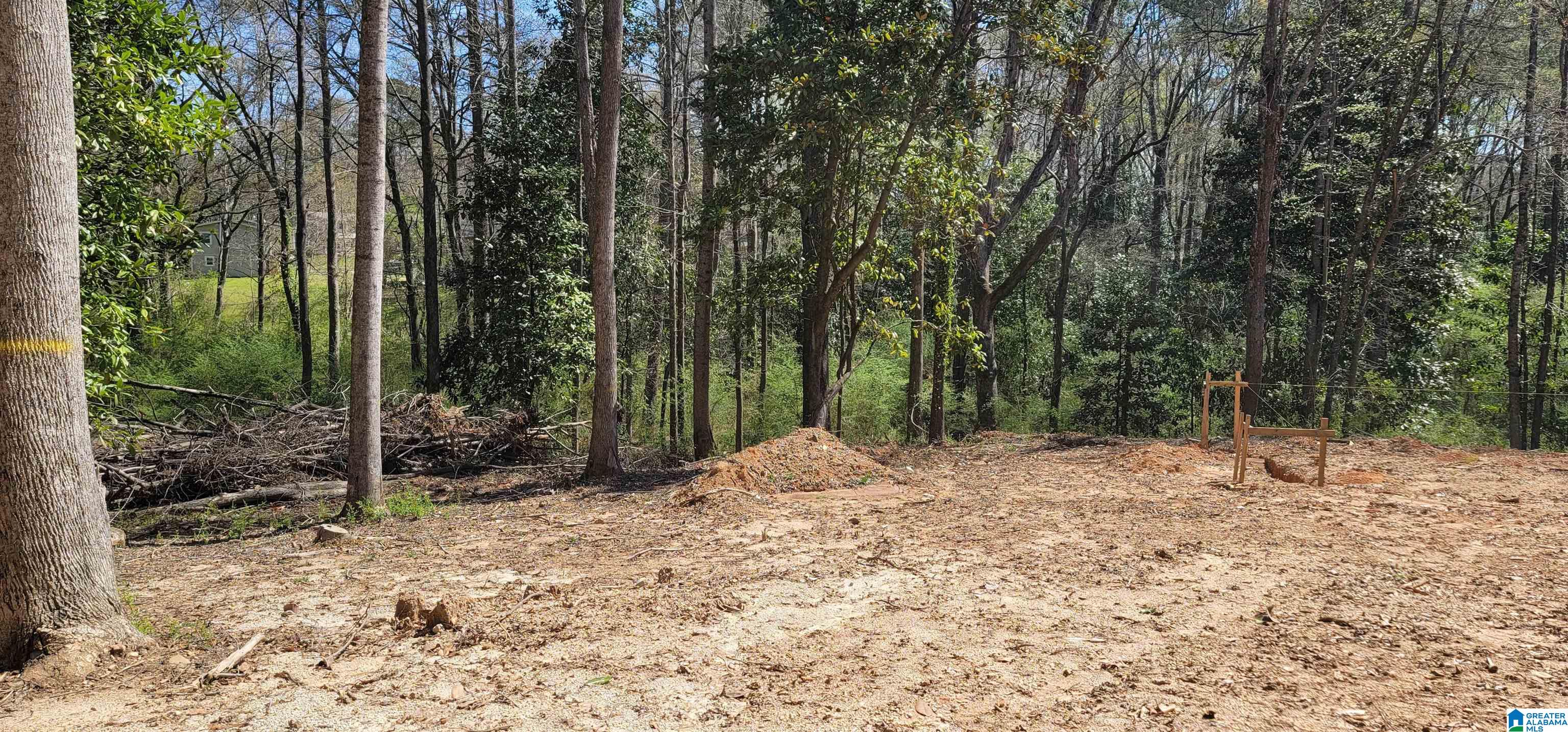 0 Osborne Street, Unit 3 ACRES Heflin, AL 36264 - Photo 9 of 11