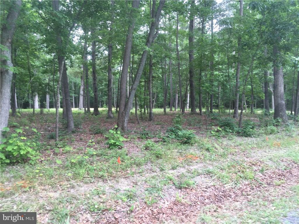 0 Cool Spring Road, Unit B2 Harbeson, DE 19951 - Photo 1 of 3 Gallery Image 1