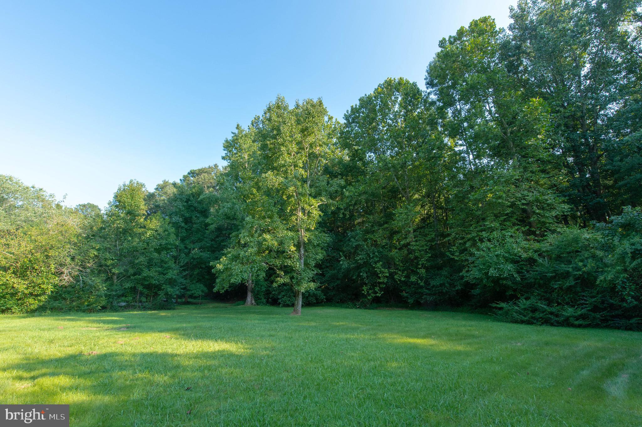 29259 Naylor Mill Road Salisbury, MD 21801 - Photo 16 of 16
