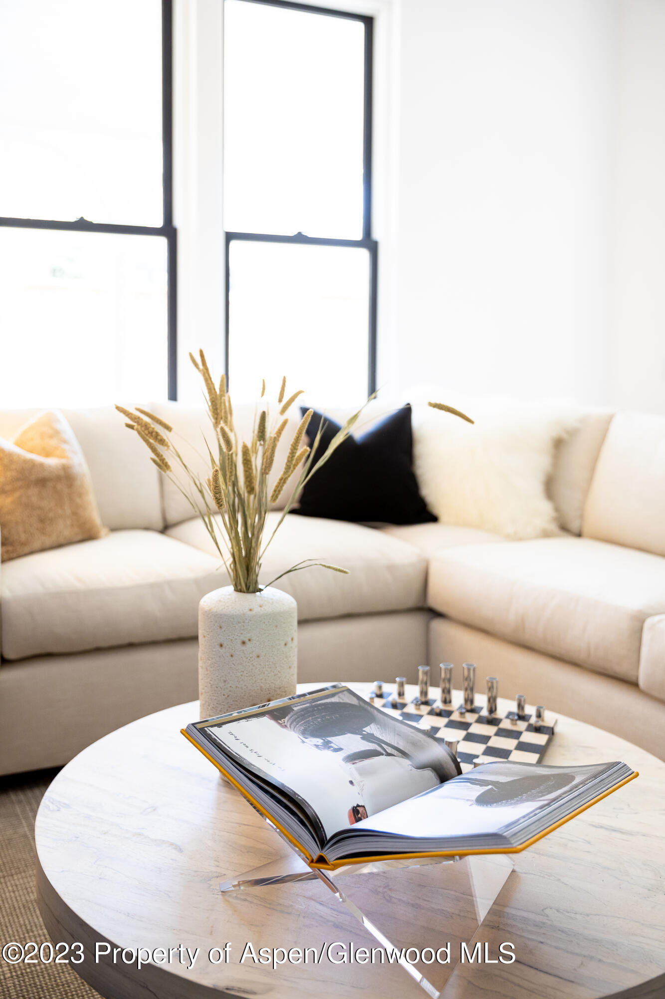 125 West Main Street Aspen, CO 81611 - Photo 51 of 52 a living room with furniture and a couch